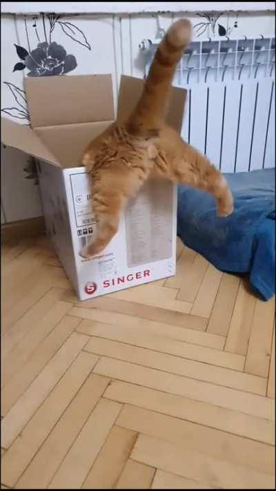 And I was sure he would do it the first time.