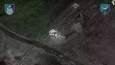 Ukrainian Unmanned Systems Battalion 