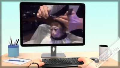 Average Orslok enjoyer