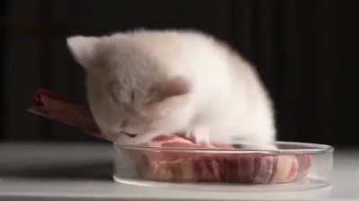 I made ultrakill version of this, the music is too good