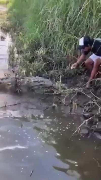 Let's feed a fukin crocodile from the riverbank