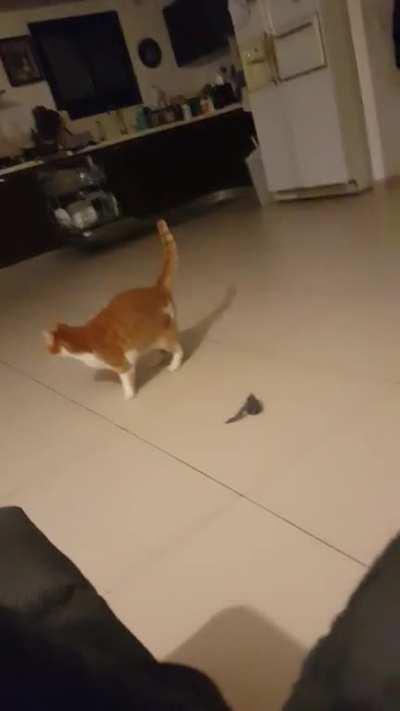 you can tell he isnt holding the brain cell usually