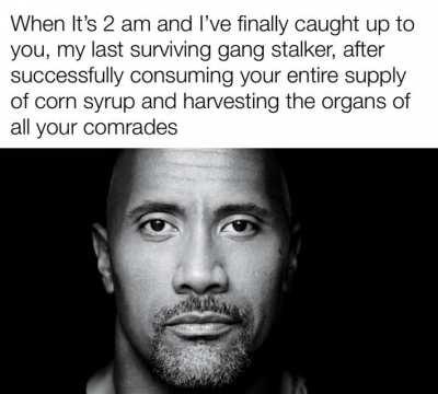 Schizo Sigma grindset 💯💯