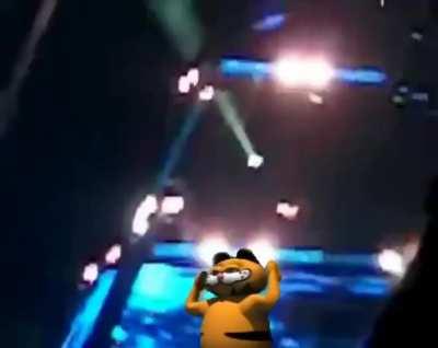 garfie is boogin 😳