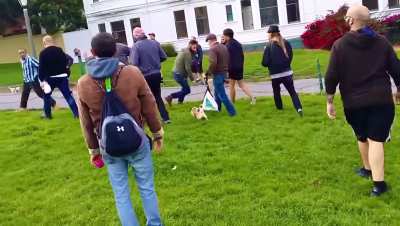 trouble at the dog park