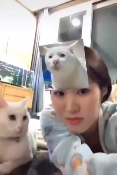 How dare you mock me like that