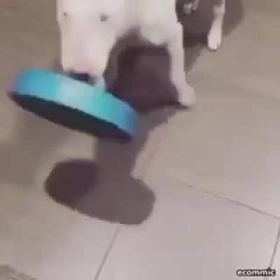 Outsmarted the whole company.