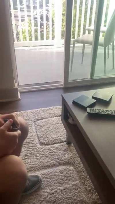 I guess it's supposed to be funny.