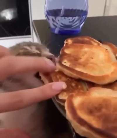 HMC while i try steal a piece