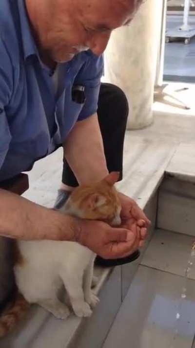 This sweet dude helping a kitty drink :)