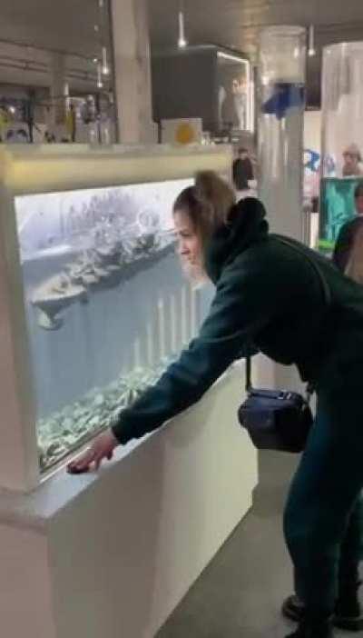 An exhibit dedicated to the Russian warship appeared at the Museum of Science in Lviv.