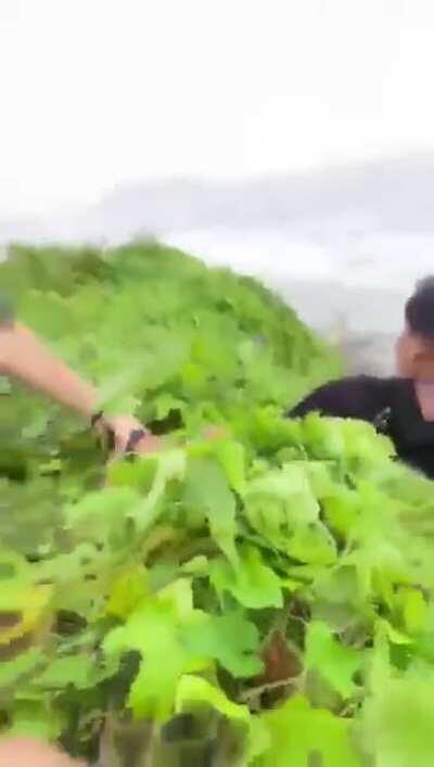 Skater almost falls off a cliff