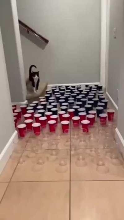 They attacked first, I swear!