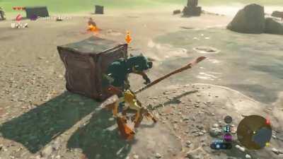 [BotW], OC. Metal Boxes are now birds. Do they drop drumsticks I wonder?