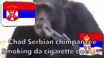 chad serbia