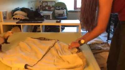 Bed sheet day is best day!