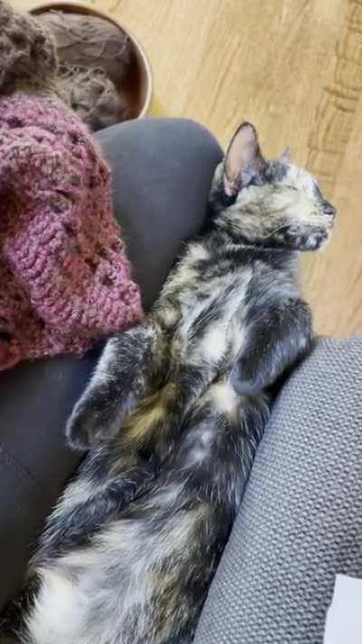 Reese would like to object to gravity