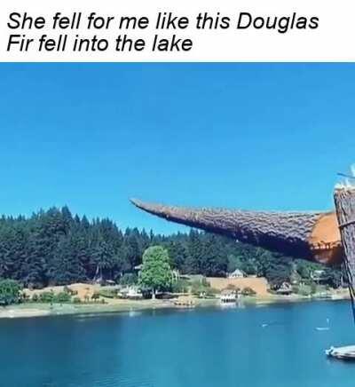 biggest love story since Twilight