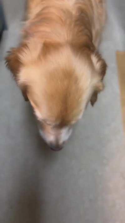 I had hope this time