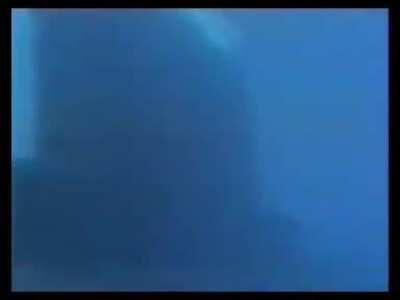 Diving next to a Military submarine while it’s pulsing sonar