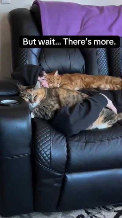 Nothing beats a cat blanket 