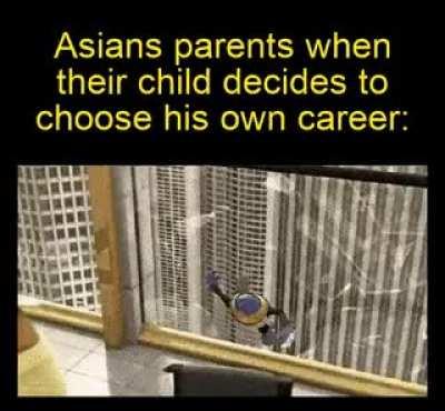 Wait, it's all doctors and engineers?