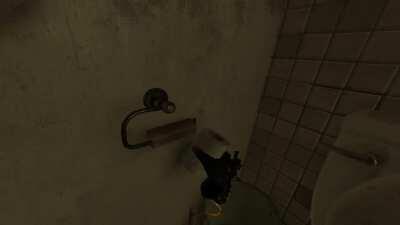 I saw video of toilet paper tactical reload and that makes me want to try that. But toilet papers at my home are tubeless. So i did that in HL: Alyx instead.