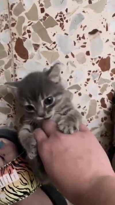 how can i go to work