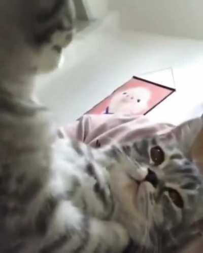 Omg you are so cute, I want to bite you