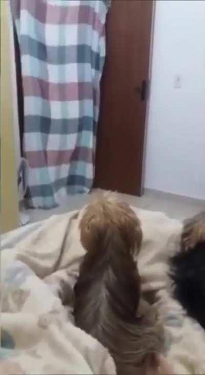 She left... that does only mean one thing.