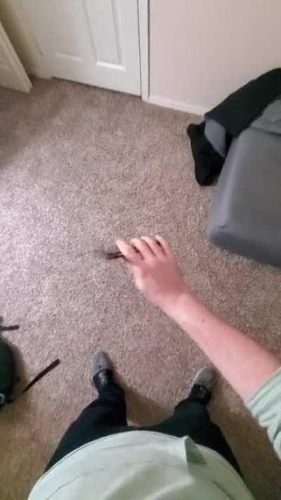 I've been flipping for a little around a year now, started with that curved balisong and now I have a Rep on the way with a Bas in my sights. Love the hobby and the community.