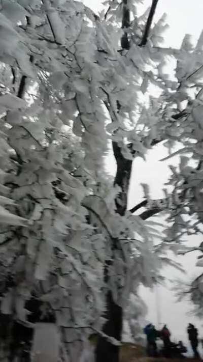 A crazy winter day in Austria