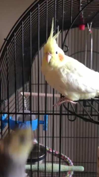 It’s not funny anymore