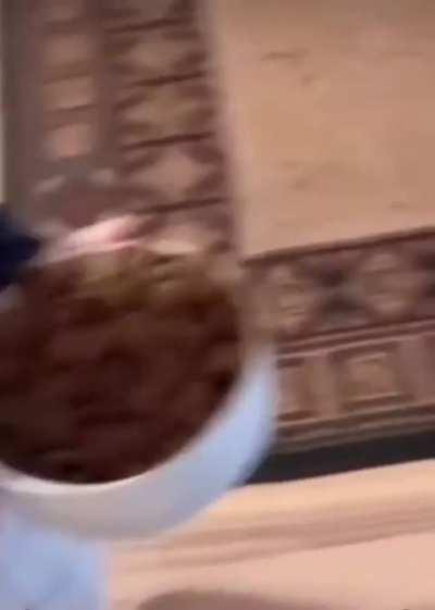 My little angel is so smart, wait for it!