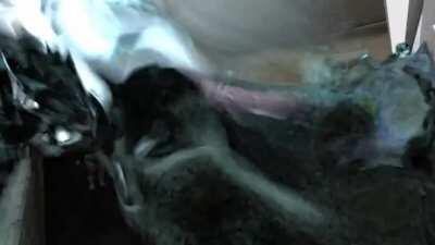 Took me 69420 hours to make