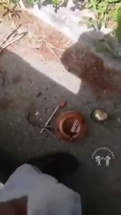 Boteco do domingo tá pago 👍