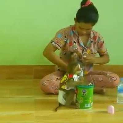 Waiting patiently to be fed