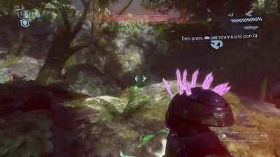 Arbiter forgets how to melee properly