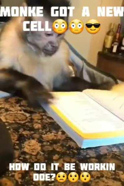 yoo monke got da cell