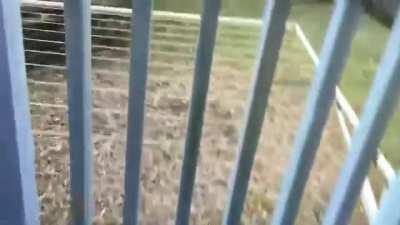 Its not about the food, its about sending a message