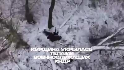 Ukrainian cluster strike on infantry south of Kremyanoye, Kursk Oblast. December 2024