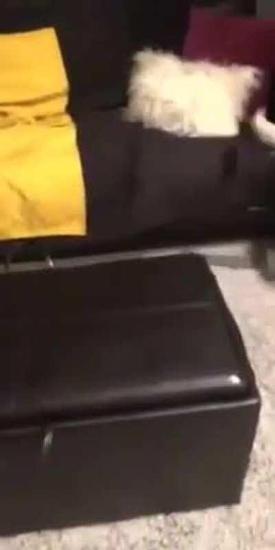 Попал под раздачу