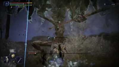 Never been happier to see this dumb bird