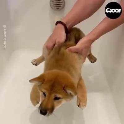 Максимальное нежелание купаться