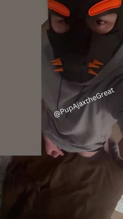 Alpha pup needs to breed 😈