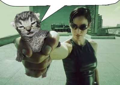 is being a girl even legal?