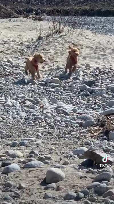 The perfect job doesn’t exi…….