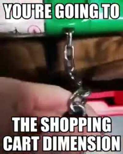 item: teleporter to the shopping cart dimension