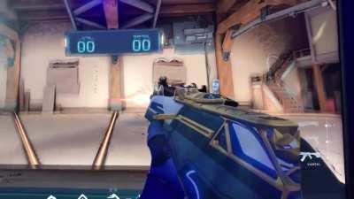 How to get the prime vandal for free