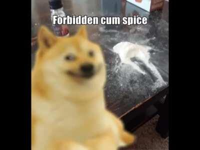 U asked for it mista